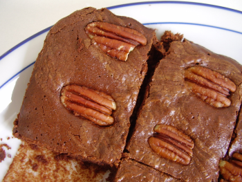 gatochococaram2.bmp